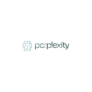 Perplexity